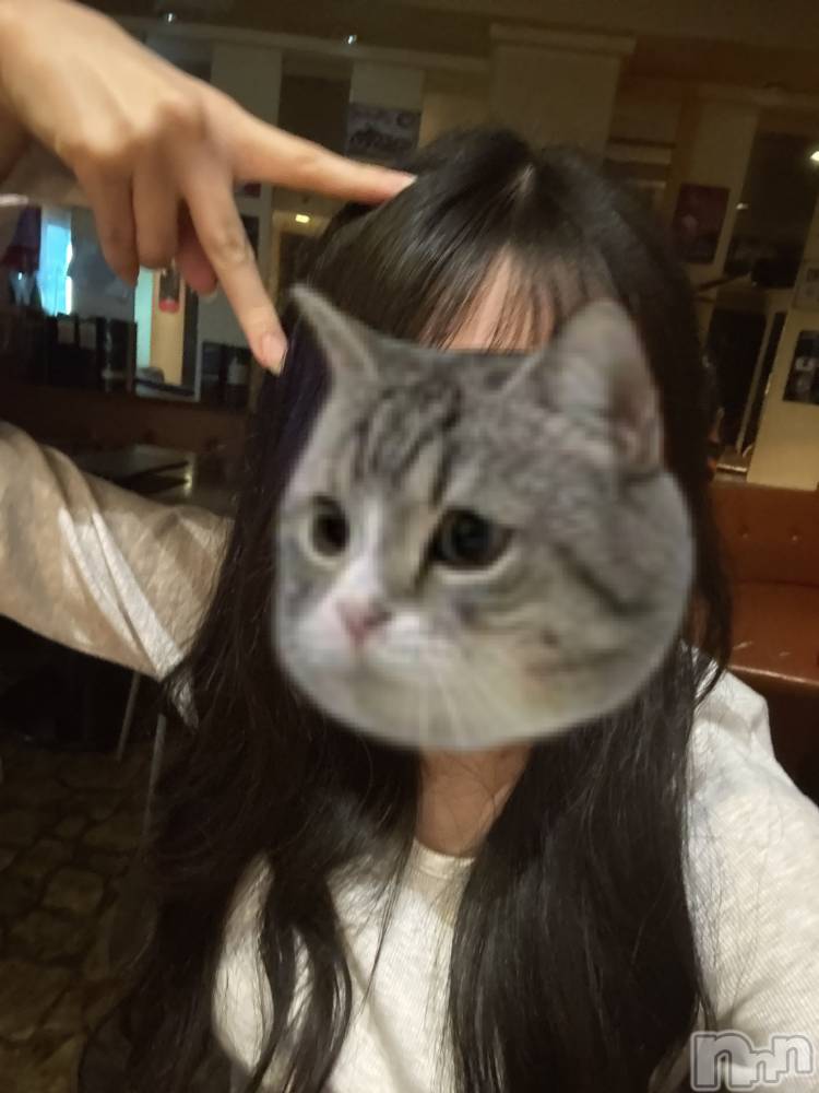 ʥå륺С륺åޤʤߤ(륺åޥʥߥ) ͤ57̥֥֤ɤä
