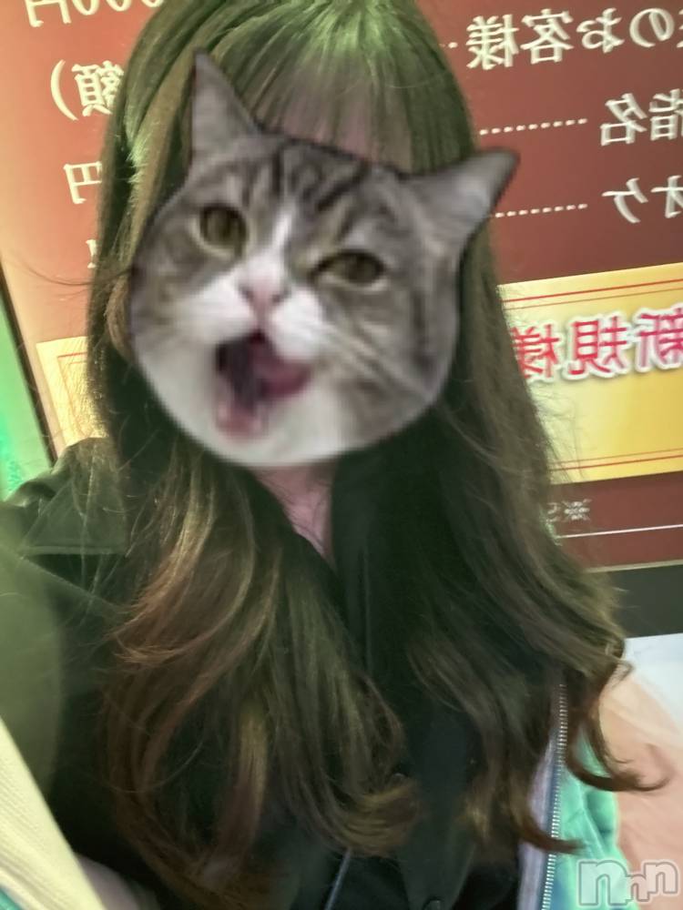 ʥå륺С륺åޤʤߤ(륺åޥʥߥ) ͤ514̥֥֤ޤĤƤޤ