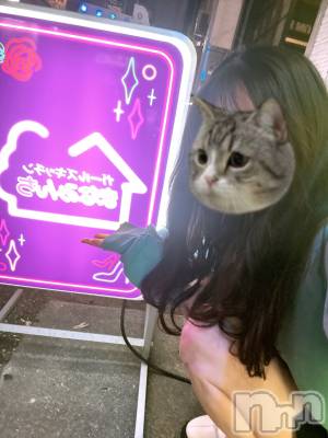 ʥå륺С륺åޤʤߤ(륺åޥʥߥ) ͤ(19)59̥֥( ^ᵕ^)