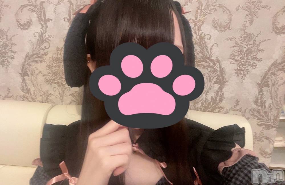 ʥå륺С󥻥ץȥե ˤޤ(󥻥ץȥե˥ޥ륭奦ǥ) ޤ72̥֥72 2155ʬΥ֥