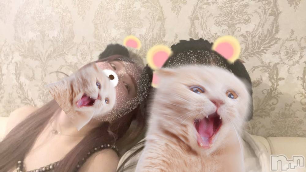 ����������ʥå��������륺�С����󥻥ץȥ��ե� ���ˤޤ����(���󥻥ץȥ��ե����˥ޥ륭�奦�ǥ�) �ޤ���3��20���̥�֥�����3��20�� 22��07ʬ�Υ֥�����