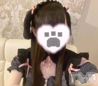 新潟駅前スナック・ガールズバーコンセプトカフェ あにまる宮殿(コンセプトカフェアニマルキュウデン) まおの10月28日写メブログ「10月28日 22時12分のブログ」