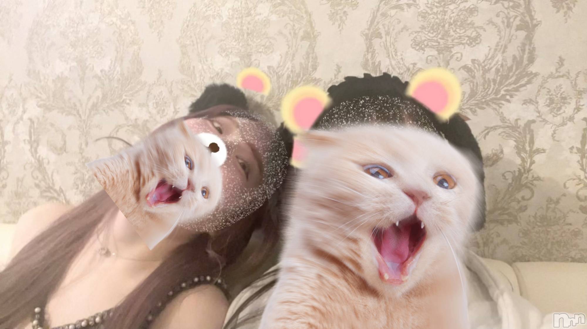 ����������ʥå��������륺�С����󥻥ץȥ��ե� ���ˤޤ����(���󥻥ץȥ��ե����˥ޥ륭�奦�ǥ�) ��2026ǯ3��20���̥�֥�����3��20�� 22��07ʬ�Υ֥�����