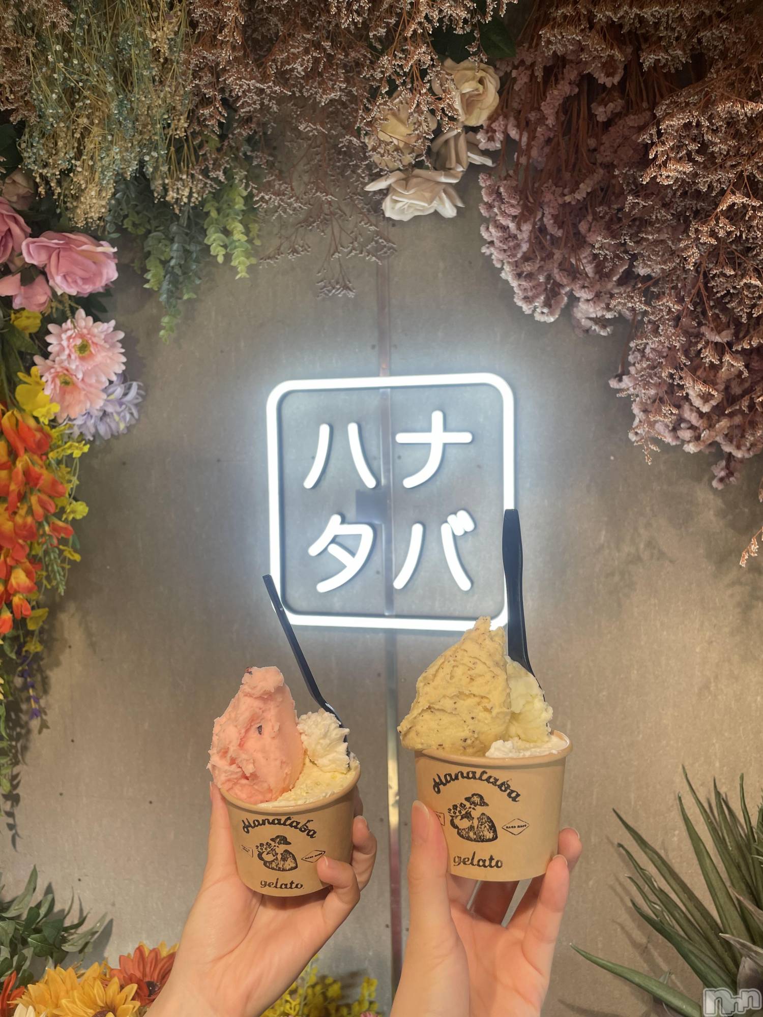 ����������ʥå��������륺�С����󥻥ץȥ��ե� ���ˤޤ����(���󥻥ץȥ��ե����˥ޥ륭�奦�ǥ�) ��2026ǯ8��26���̥�֥�����8��26�� 19��18ʬ�Υ֥�����
