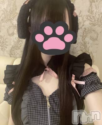 ʥå륺С󥻥ץȥե ˤޤ(󥻥ץȥե˥ޥ륭奦ǥ) ޤ620̥֥620 2041ʬΥ֥