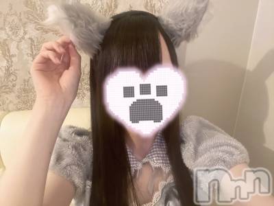 ʥå륺С󥻥ץȥե ˤޤ(󥻥ץȥե˥ޥ륭奦ǥ) ޤ78̥֥78 2217ʬΥ֥