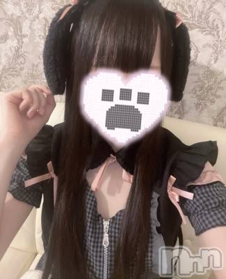 ʥå륺С󥻥ץȥե ˤޤ(󥻥ץȥե˥ޥ륭奦ǥ) ޤ98̥֥98 2106ʬΥ֥