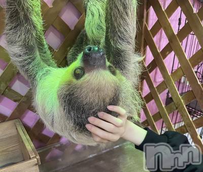 ����������ʥå��������륺�С����󥻥ץȥ��ե� ���ˤޤ����(���󥻥ץȥ��ե����˥ޥ륭�奦�ǥ�) �ޤ���4��28���̥�֥�����4��28�� 20��52ʬ�Υ֥�����