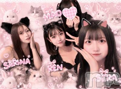 ����������ʥå��������륺�С����󥻥ץȥ��ե� ���ˤޤ����(���󥻥ץȥ��ե����˥ޥ륭�奦�ǥ�) �ޤ���7��31���̥�֥�����7��31�� 19��58ʬ�Υ֥�����