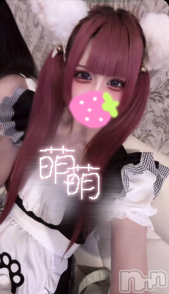 ʥå륺С󥻥ץȥե ˤޤ(󥻥ץȥե˥ޥ륭奦ǥ) ֤619̥֥٤ʤ♩