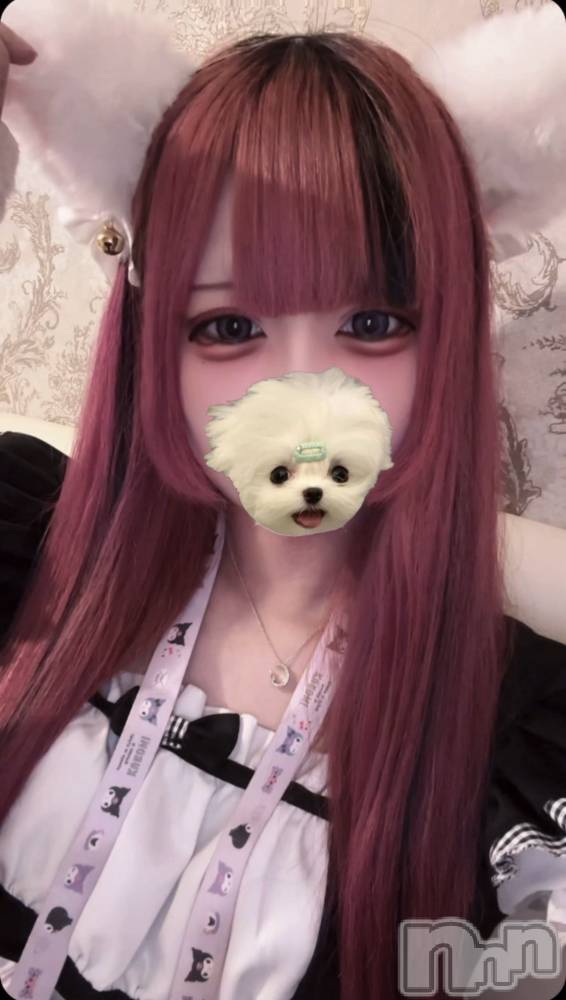 ʥå륺С󥻥ץȥե ˤޤ(󥻥ץȥե˥ޥ륭奦ǥ) ֤629̥֥֤❤︎
