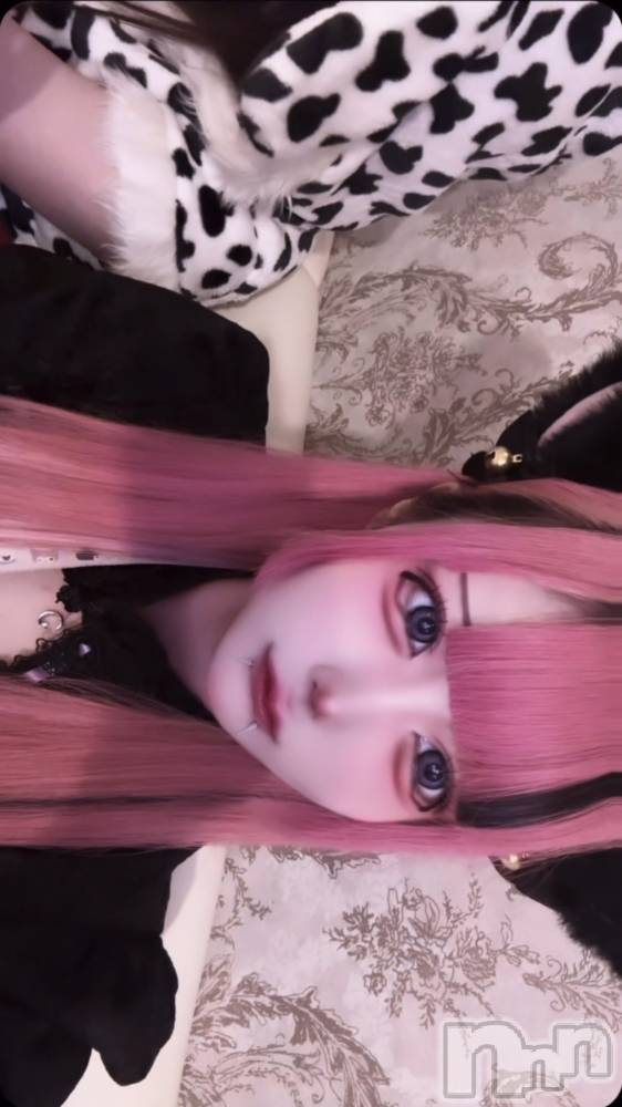 ʥå륺С󥻥ץȥե ˤޤ(󥻥ץȥե˥ޥ륭奦ǥ) ֤830̥֥֤ޤദ്ദിᴗ)🎀✧