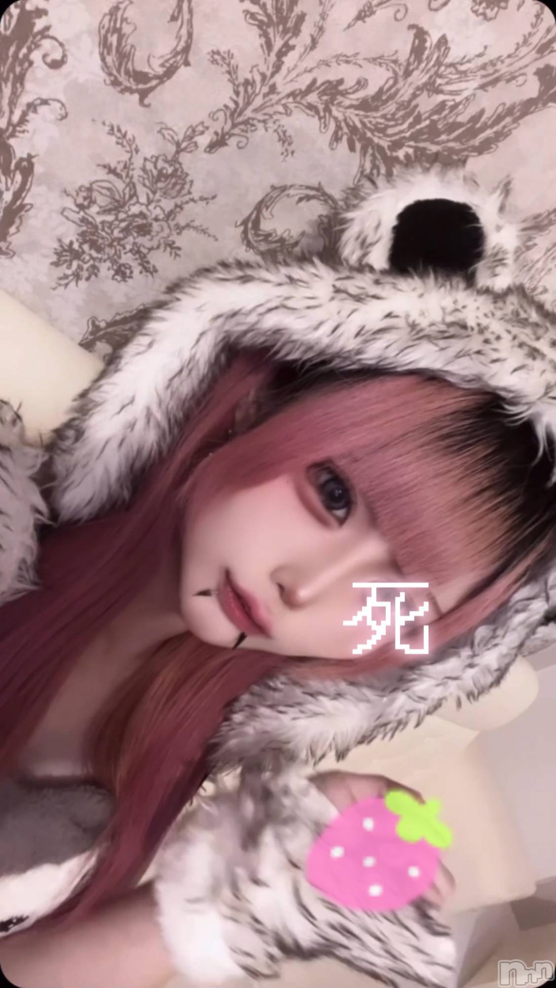 ʥå륺С󥻥ץȥե ˤޤ(󥻥ץȥե˥ޥ륭奦ǥ) 2025ǯ514̥֥ȱڤä㤿  •̀  ̫ -︎︎  ੭ ♥