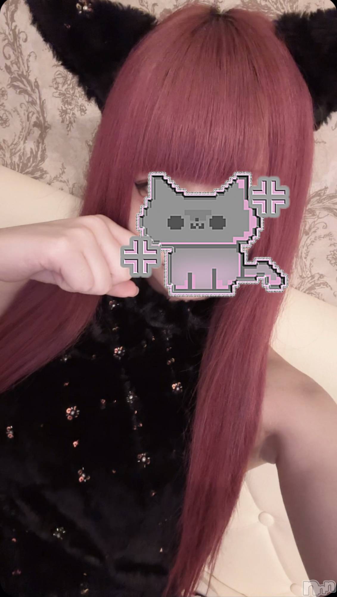 ʥå륺С󥻥ץȥե ˤޤ(󥻥ץȥե˥ޥ륭奦ǥ) 2025ǯ530̥֥֤^ ܸ.  ̫ .ܸ ^♡