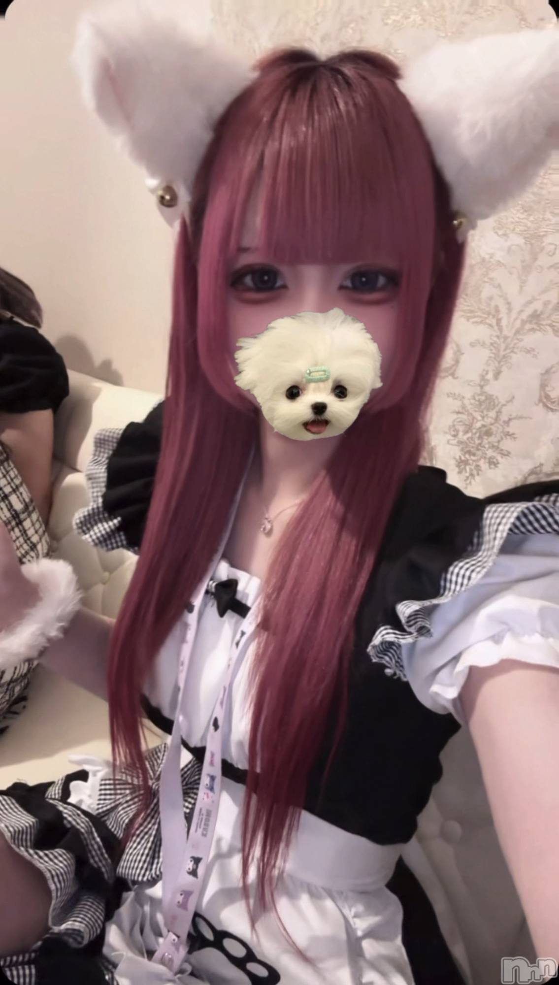 ʥå륺С󥻥ץȥե ˤޤ(󥻥ץȥե˥ޥ륭奦ǥ) 2025ǯ621̥֥ȱƤ⤴️🎀