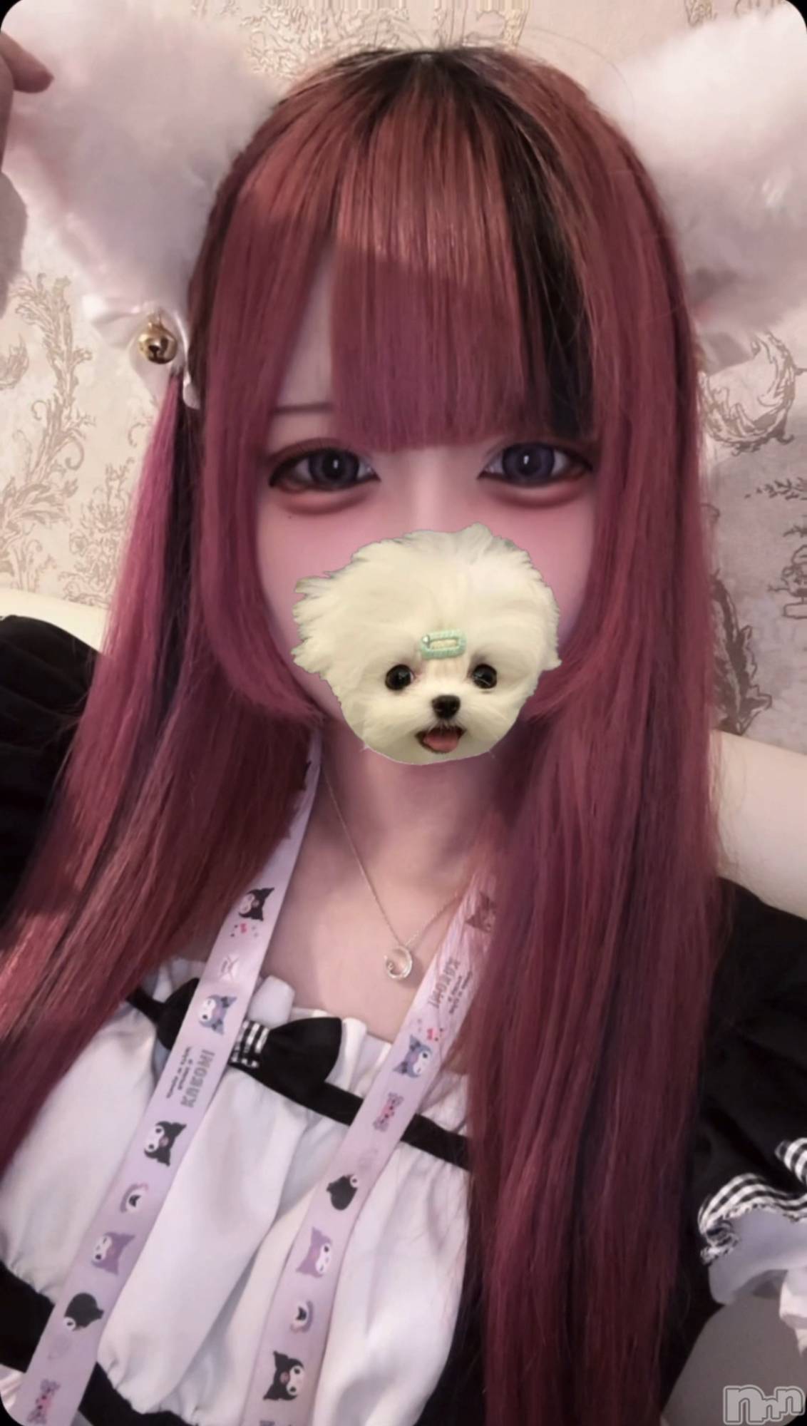 ʥå륺С󥻥ץȥե ˤޤ(󥻥ץȥե˥ޥ륭奦ǥ) 2025ǯ629̥֥֤❤︎