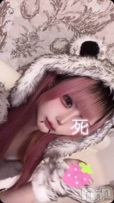 ʥå륺С󥻥ץȥե ˤޤ(󥻥ץȥե˥ޥ륭奦ǥ) ֤514̥֥ȱڤä㤿  •̀  ̫ -︎︎  ੭ ♥