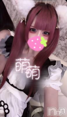ʥå륺С󥻥ץȥե ˤޤ(󥻥ץȥե˥ޥ륭奦ǥ) ֤619̥֥٤ʤ♩