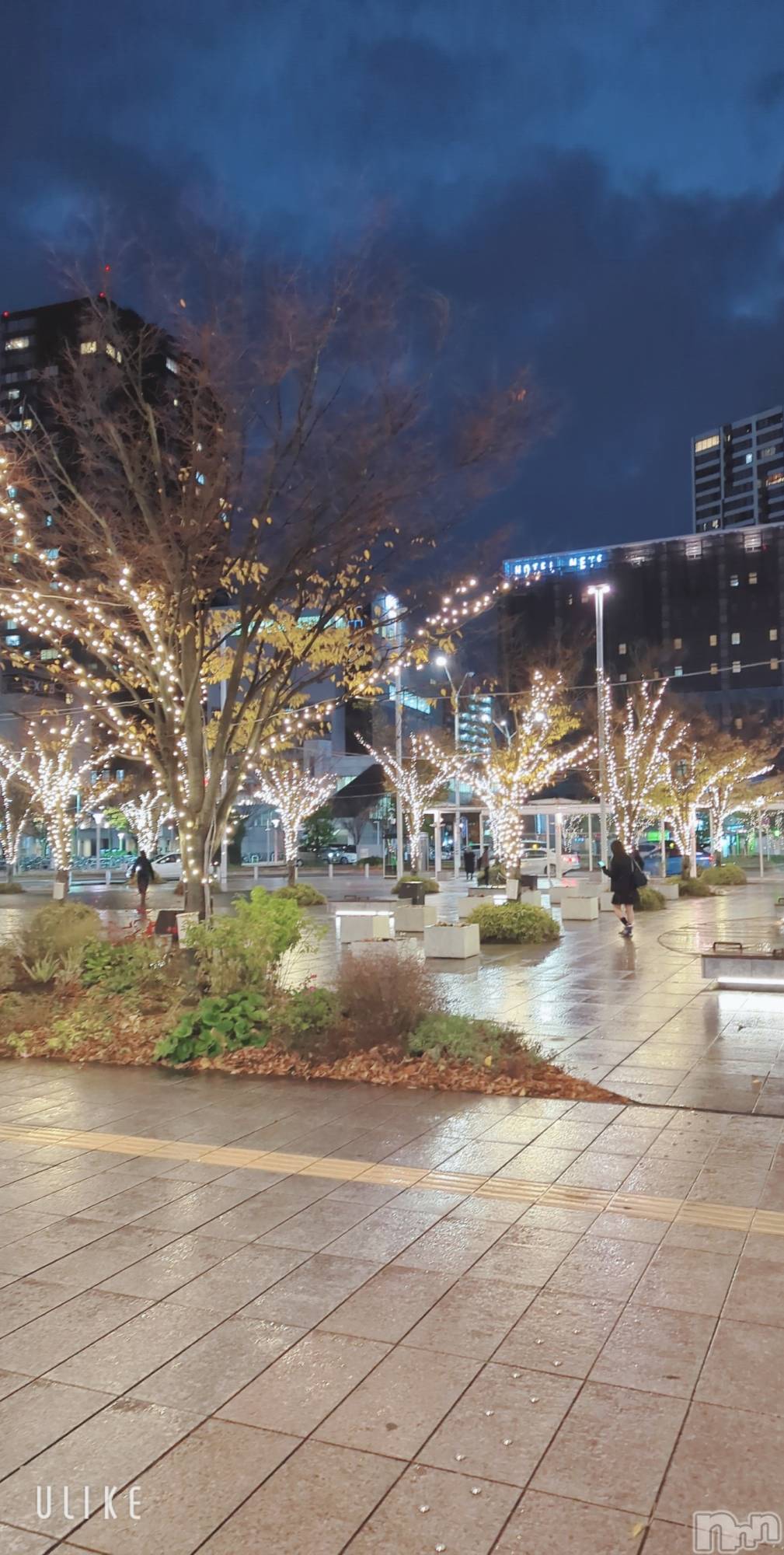 新潟デリヘル一夜妻(イチヤヅマ)まい/新人(32)の2025年11月29日写メブログ「吉野家です♡」