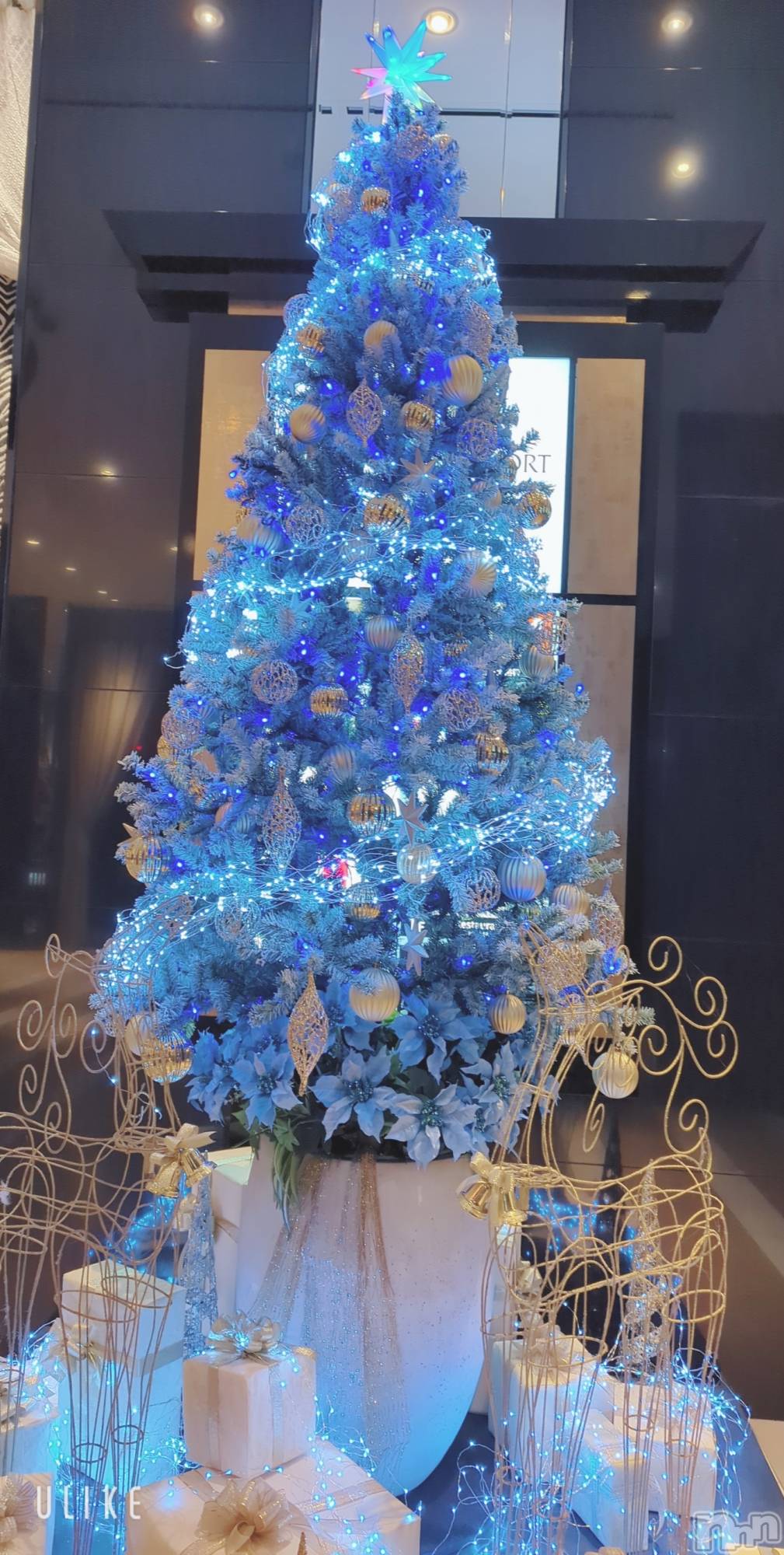 新潟デリヘル一夜妻(イチヤヅマ)まい/新人(32)の2025年12月8日写メブログ「できるアプリ♡」