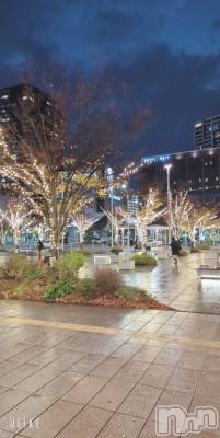 新潟デリヘル 一夜妻(イチヤヅマ) まい/新人(32)の11月29日写メブログ「吉野家です♡」