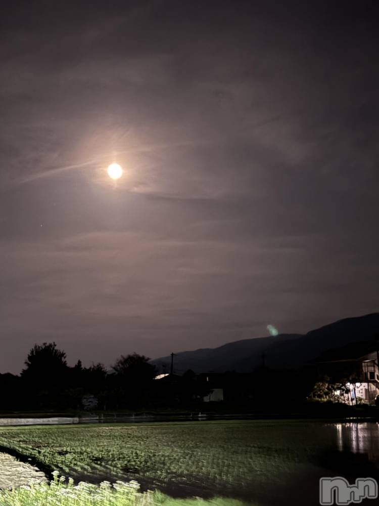 ��ˬ����Х��顦����֥���� �ץ���� ��ˬ(����� �ץ���� ����) ��� ��ʤ�5��13���̥�֥����֤�����ͤǤ�����