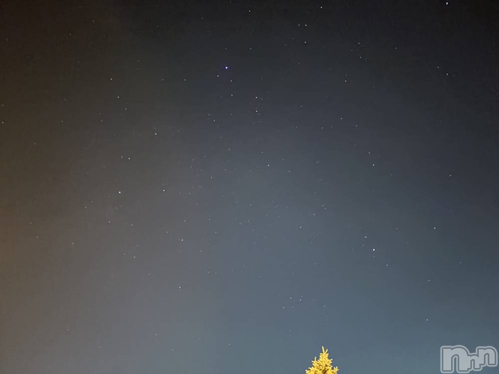 ��ˬ����Х��顦����֥���� �ץ���� ��ˬ(����� �ץ���� ����) ��� ��ʤ�6��28���̥�֥�������������