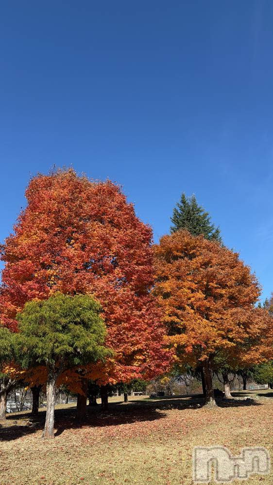 ��ˬ����Х��顦����֥���� �ץ���� ��ˬ(����� �ץ���� ����) ��� ��ʤ�11��15���̥�֥����ֹ���🍁⠜��