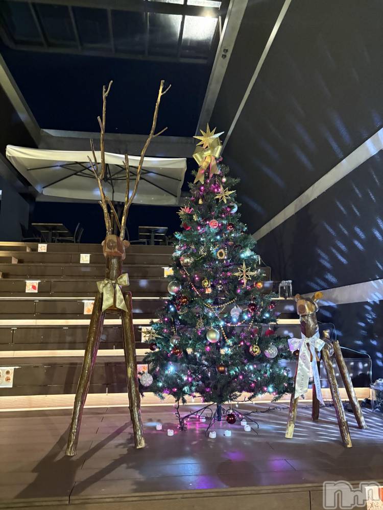 ��ˬ����Х��顦����֥���� �ץ���� ��ˬ(����� �ץ���� ����) ��� ��ʤ�12��6���̥�֥�����🎄🦌💖��