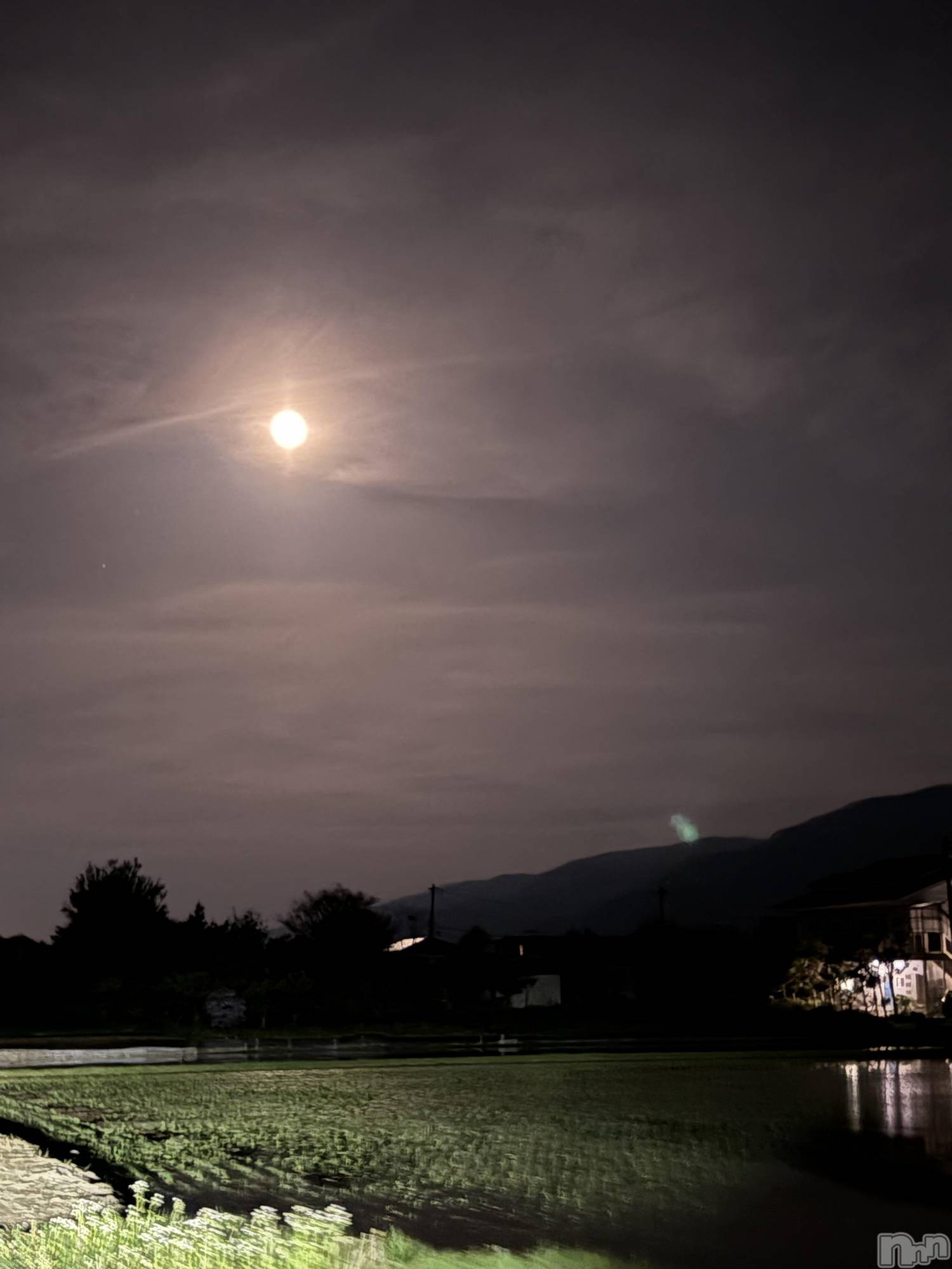 ��ˬ����Х��顦����֥���� �ץ���� ��ˬ(����� �ץ���� ����) ��2025ǯ5��13���̥�֥����֤�����ͤǤ�����