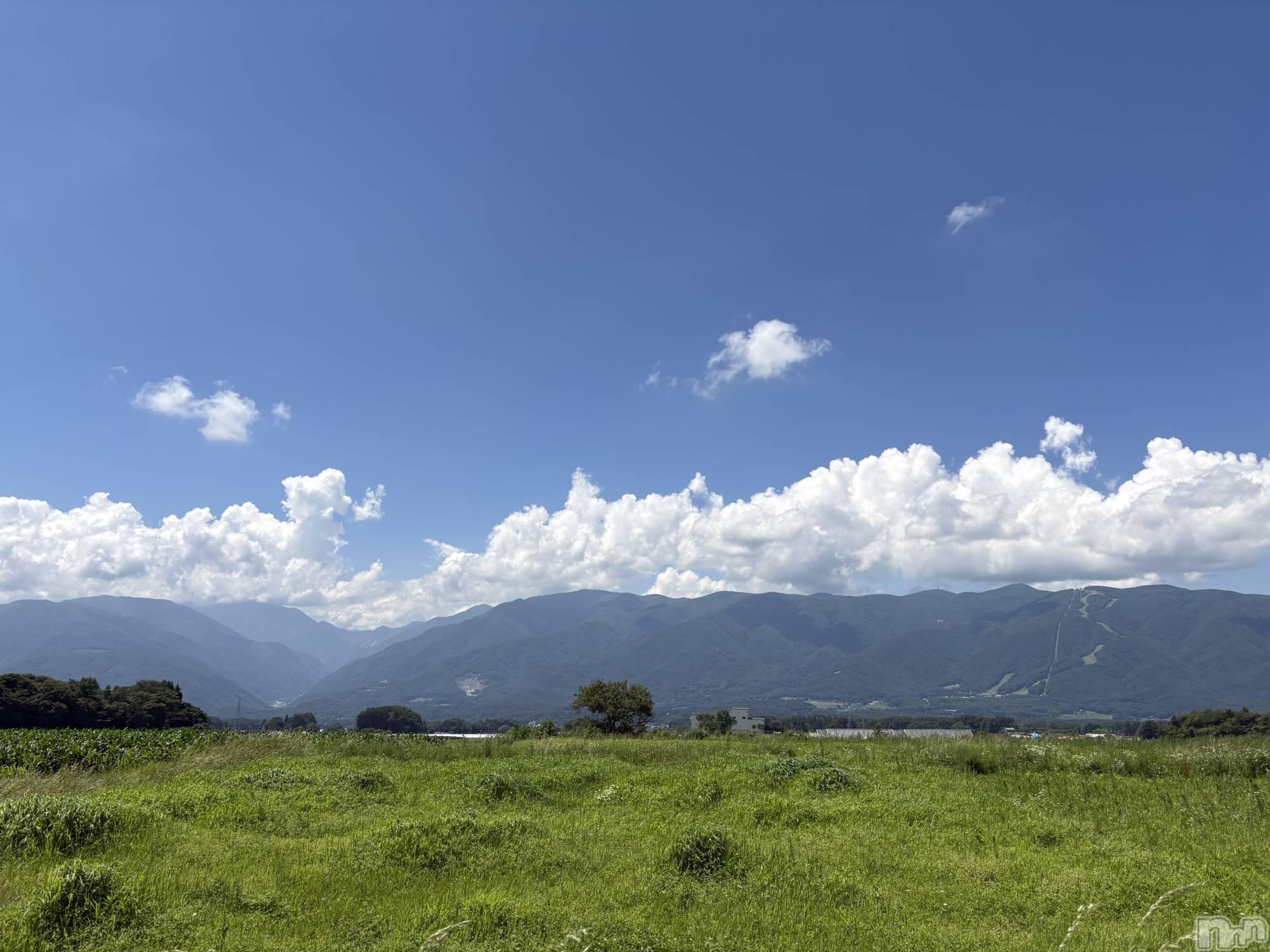 ��ˬ����Х��顦����֥���� �ץ���� ��ˬ(����� �ץ���� ����) ��2025ǯ7��26���̥�֥����ֲƶ���🎐🩵��