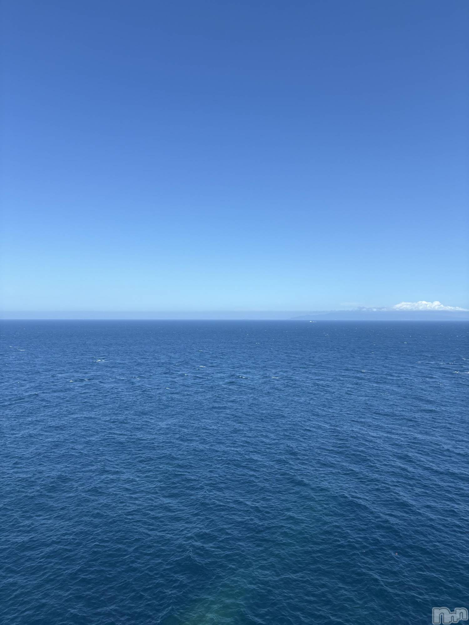 ��ˬ����Х��顦����֥���� �ץ���� ��ˬ(����� �ץ���� ����) ��2025ǯ8��23���̥�֥����ֿ�ʿ��✨��