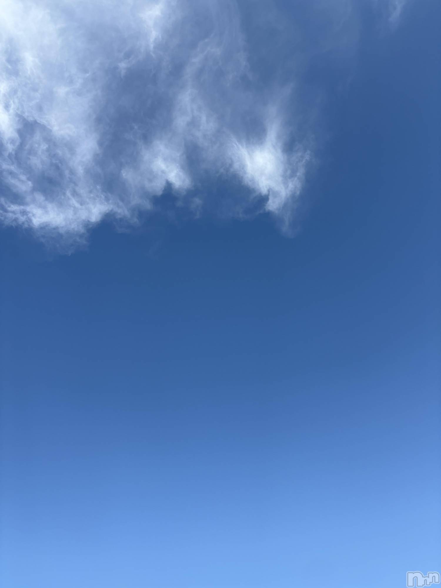 ��ˬ����Х��顦����֥���� �ץ���� ��ˬ(����� �ץ���� ����) ��2025ǯ8��29���̥�֥�����🩵🩵🩵��