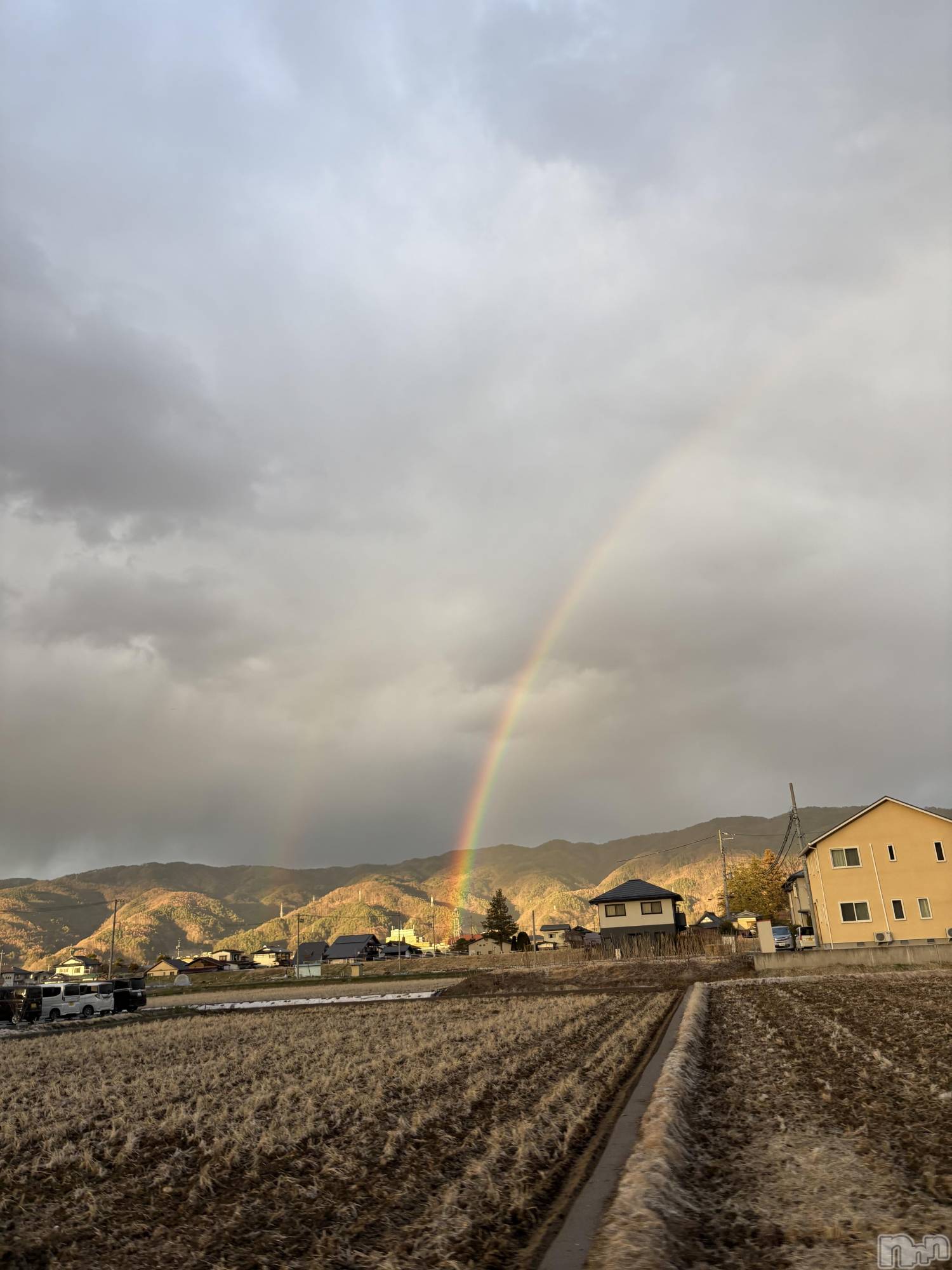 ��ˬ����Х��顦����֥���� �ץ���� ��ˬ(����� �ץ���� ����) ��2026ǯ3��28���̥�֥�����2��🌈ᵕ̈*��