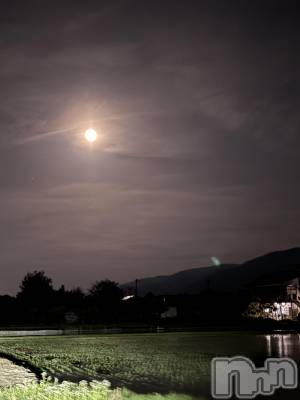 ��ˬ����Х��顦����֥���� �ץ���� ��ˬ(����� �ץ���� ����) ��� ���(25)��5��13���̥�֥����֤�����ͤǤ�����