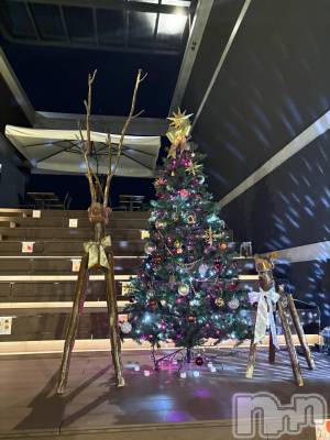 ��ˬ����Х��顦����֥���� �ץ���� ��ˬ(����� �ץ���� ����) ��� ���(25)��12��6���̥�֥�����🎄🦌💖��