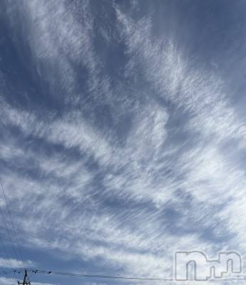 ��ˬ����Х��顦����֥���� �ץ���� ��ˬ(����� �ץ���� ����) ��� ���(25)��2��7���̥�֥�����︎︎☁🩵��