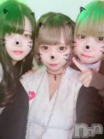 ʥå륺С Girls Bar Philia(륺Сեꥢ) ʤΤ116̥֥֤꡼