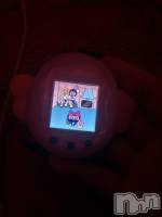 ����������ʥå��������륺�С�Girls Bar Philia(�����륺�С��ե��ꥢ) �ʤΤ�3��10���̥�֥�����ή�Ԥ��