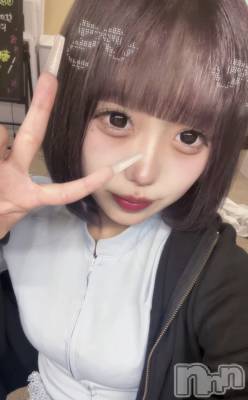 ʤ(ҥߥ) Ĺҥߥġʥå륺С Girls Bar Philia(륺Сեꥢ)ҡ