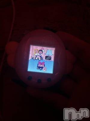 ����������ʥå��������륺�С�Girls Bar Philia(�����륺�С��ե��ꥢ) �ʤΤ�3��10���̥�֥�����ή�Ԥ��