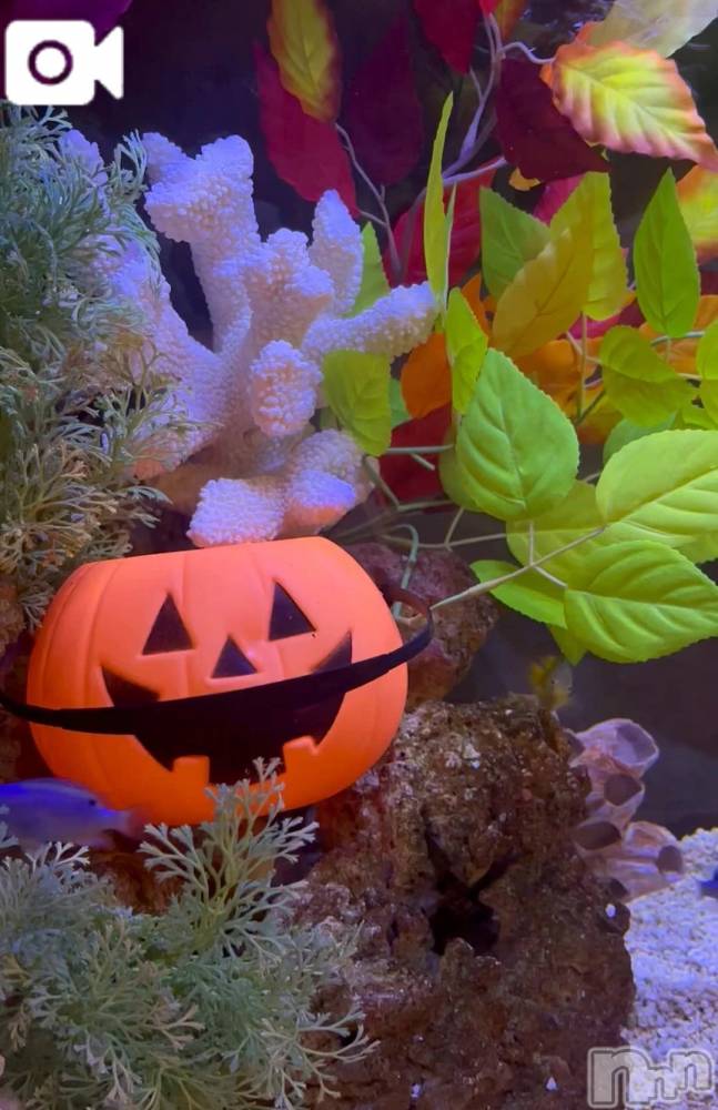 新潟デリヘル新潟市鳥屋野潟ちゃんこ(ニイガタシトヤノガタチャンコ) らら(20)の10月8日写メブログ「ハロウィン🎃」