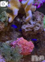 新潟デリヘル新潟市鳥屋野潟ちゃんこ(ニイガタシトヤノガタチャンコ) らら(20)の9月24日写メブログ「すっごく綺麗✨~ ꜀꜀(>ﻌ」