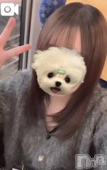 新潟デリヘル新潟デリヘル倶楽部(ニイガタデリヘルクラブ) あまい(18)の10月24日写メブログ「❤️愛おしい君のその声で❤️」