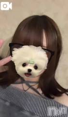 三条デリヘル新潟デリヘル倶楽部　三条店(ニイガタデリヘルクラブ　サンジョウテン) あまい(18)の9月6日写メブログ「おなやみ」