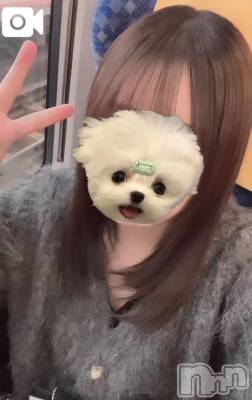 三条デリヘル 新潟デリヘル倶楽部　三条店(ニイガタデリヘルクラブ　サンジョウテン) あまい(18)の10月24日写メブログ「❤️愛おしい君のその声で❤️」