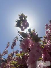 新潟おっパブSUPER ANGEL(スーパーエンジェル) 天花きり(25)の11月19日写メブログ「ありがとう💖💖」