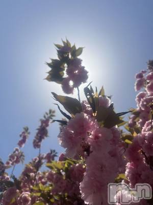 新潟おっパブ SUPER ANGEL(スーパーエンジェル) 天花きり(25)の11月19日写メブログ「ありがとう💖💖」