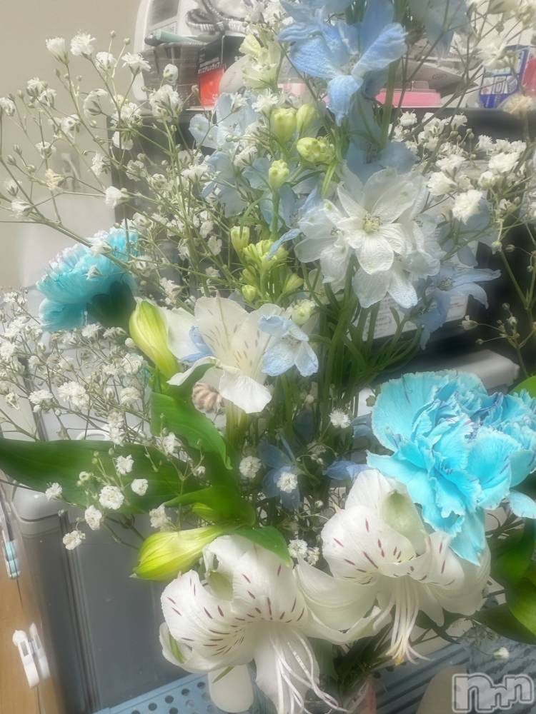 ƲХ顦clubTiara(ƥ) Ĥ510̥֥֥ӥåȤ