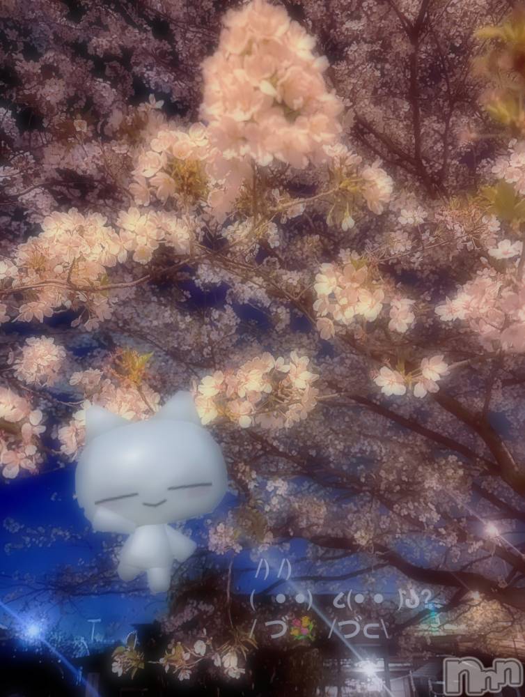 ƲХ顦clubTiara(ƥ) Ĥ613̥֥֥ߥȥɥꥢ